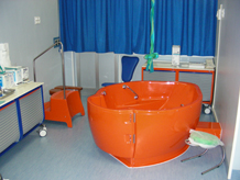 parto_piscina (38K)